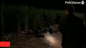 Mejor Película de Terror Completa en Español (Komodo)