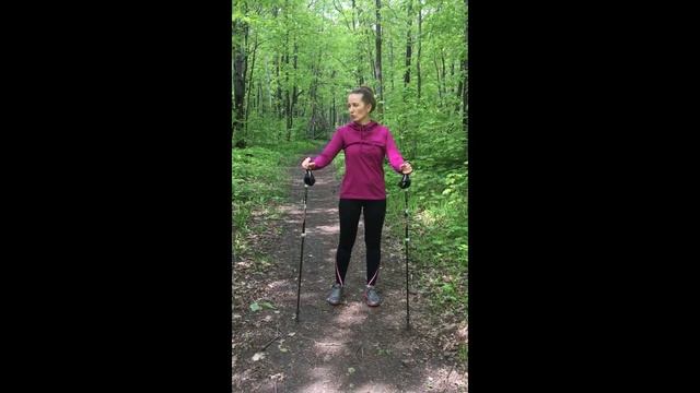 Комплекс упражнений с палками для скандинавской ходьбы смотреть онлайн