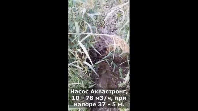 Перекачка жидкого навоза (птичьего помёта) из накопителя на птицефабрике, насос Аквастронг смотреть онлайн