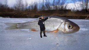 Я РЖАЛ ДО СЛЕЗ | ПРИКОЛЫ НА РЫБАЛКЕ угар