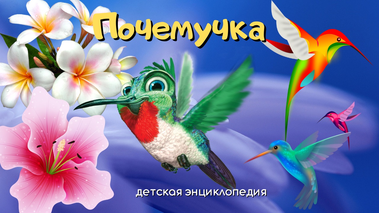 0+ Какие птицы летают задом наперед? Почемучка. Детская энциклопедия. смотреть онлайн