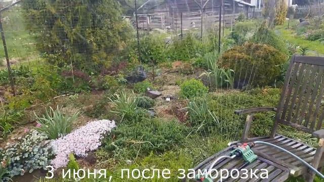 Все, что не померзло в мае, добивается в июне... смотреть онлайн