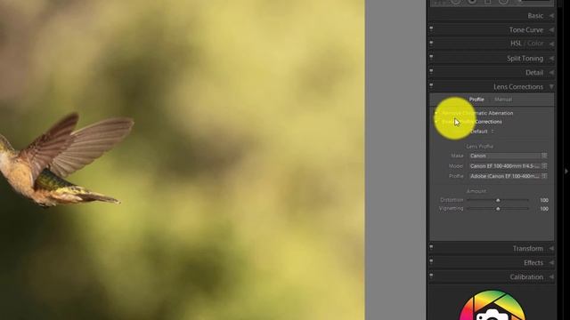 TOPAZ DENOISE AI 2.2 | HOW TO PREPARE A RAW image in LIGHTROOM for TOPAZ DENOISE AI смотреть онлайн