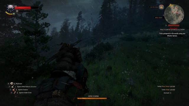 The Witcher 3 Wild Hunt Next Gen Update Druid's Ritual смотреть онлайн