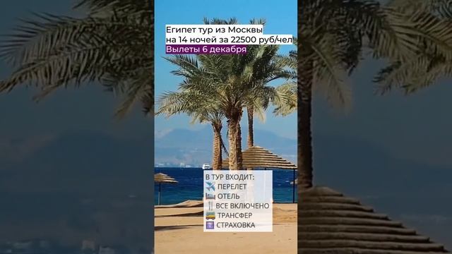 Очень дешёвый тур в Египет смотреть онлайн