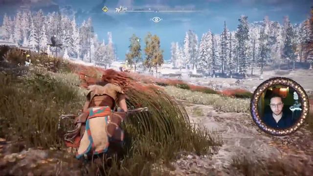 Eis-Vögel, Transport-Krabben und Hörner - 'Horizon - Zero Dawn' #13 | Playthrough | Y-Not Gaming смотреть онлайн