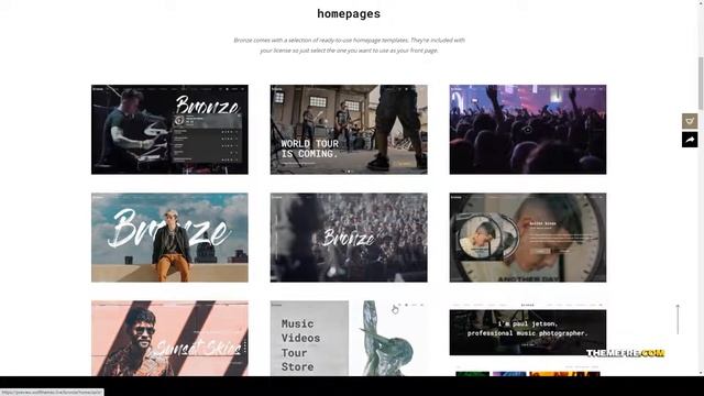 Bronze - A Professional Music WordPress Theme photo artist Website Builder смотреть онлайн