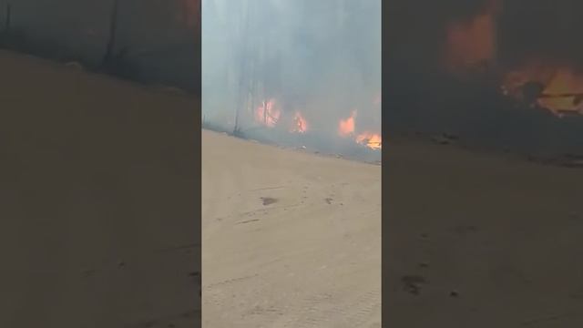 Горит лес. Сибирь смотреть онлайн