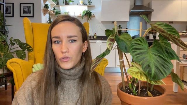 Wish List Plant Haul | Alocasia Dragon Scale and More | PLNTS.COM смотреть онлайн