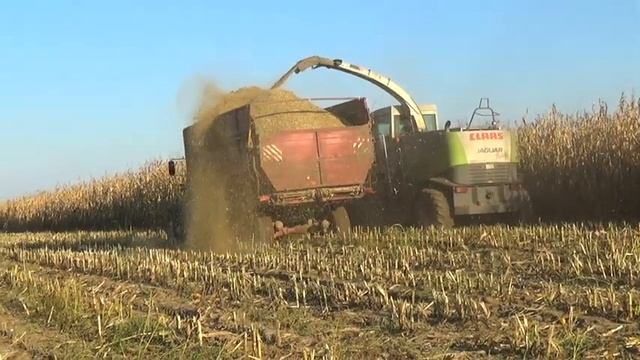 Claas Jaguar 870 на уборке кукурузы смотреть онлайн