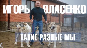 Когда ты – вожак стаи!