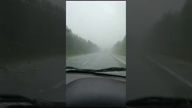 Дождливая М8 01.08.2024 смотреть онлайн