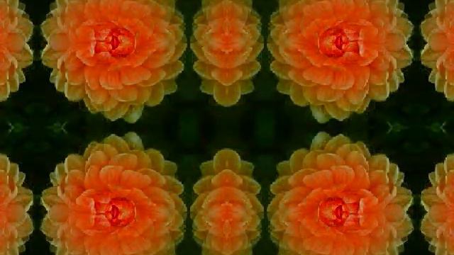 dahlia doodah day смотреть онлайн