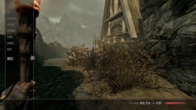 Adventures of Rai - Skyrim survival mode смотреть онлайн
