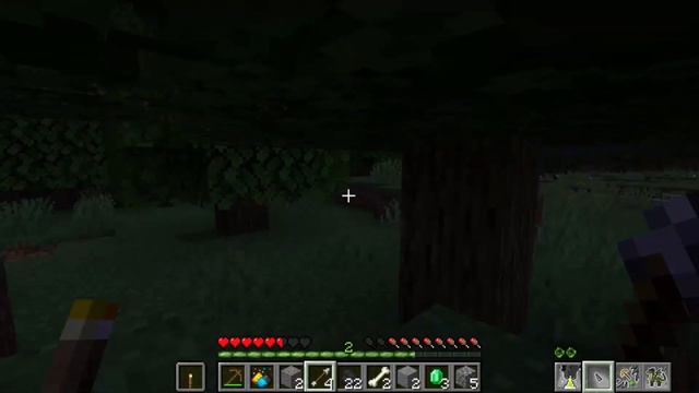 Я Дракон в Майнкрафте 1.16.5 / ВСЁ НАЧИНАЕТСЯ С ПРЕВРАЩЕНИЯ смотреть онлайн