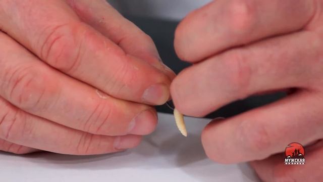 Рыбалка и опарыш Как правильно насадить опарыша на крючок
