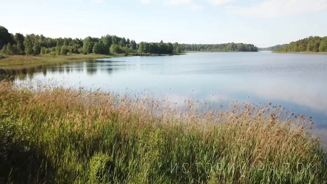 Свекровь выставила деревенскую невестку, пока ее сын был в командировке, но она даже представить… смотреть онлайн