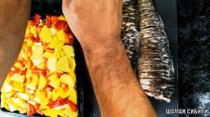 Сазан запечённый в духовке с картошкой! Простой рецепт приготовления! Дегустация!