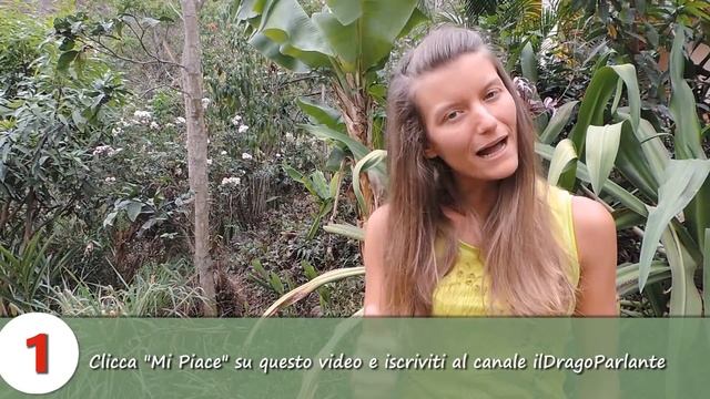 Vinci un frullatore Vitamix da 700€ per Natale... e non solo! смотреть онлайн