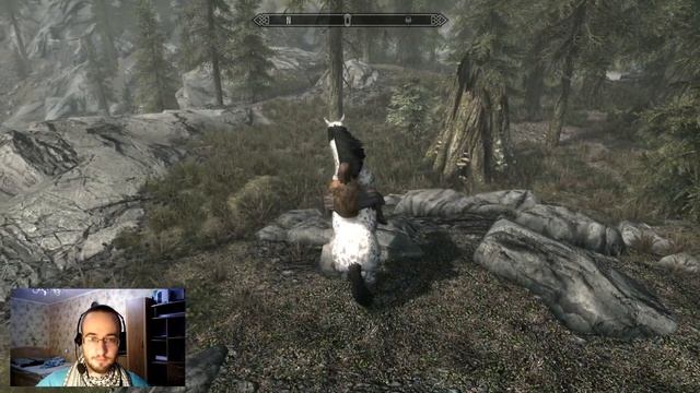 Wild Horses ? Единорог И 7 Обычных Лошадей Разного Окраса В Skyrim ⚔️ смотреть онлайн