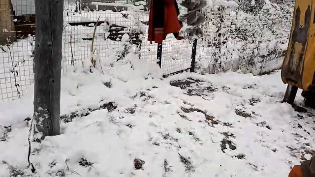 #Зимой_на_даче. Называется сходил #за_водой=)) смотреть онлайн