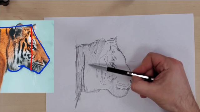 Рисунок реалистичного тигра, символ года 2022 #учимсярисовать #рисуемтигра #обучениерисунку смотреть онлайн