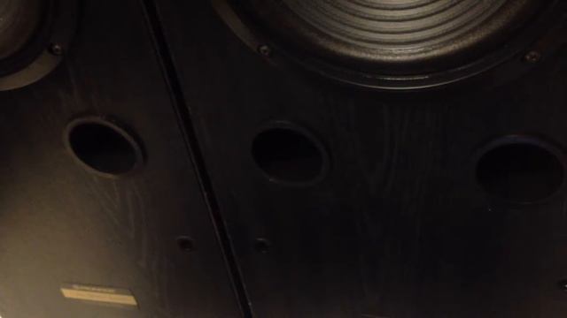 Pioneer Speaker смотреть онлайн