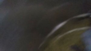 Зеркало Козырева - Казначеева своими руками Бердянск, штырит по взрослому