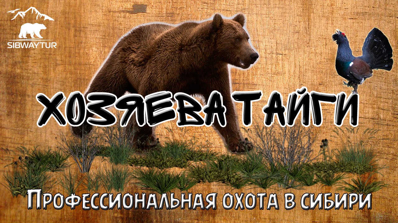 Профессиональная охота в Сибири.  Хозяева тайги / Job hunting in Siberia. The hosts of taiga