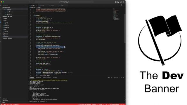 How To Use Struct Tags (Golang) смотреть онлайн