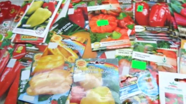 КАКОЙ ПЕРЕЦ ВЫБРАТЬ? СОРТ КОЛОБОК. Обзор Ольги Черновой. смотреть онлайн