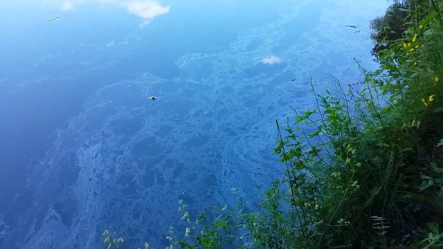 Сброс мазута в Москва реку Рублёвской водопроводной станцией каждое утро около 8 утра!!! смотреть онлайн