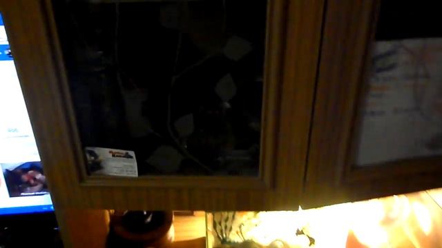 Ха - ТИКВА ,- щас спою:))))))))))) смотреть онлайн