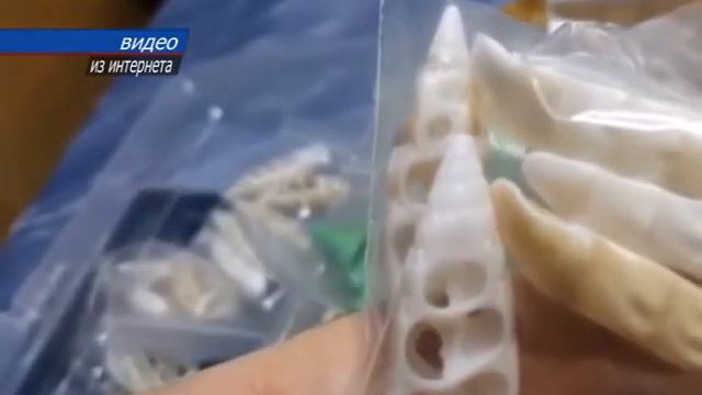 Люди, которые делают жизнь красивее, отметили свой профессиональный праздник смотреть онлайн
