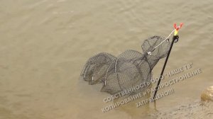 Ловля ельца на поплавочную удочку в сентябре! Рыбалка на реке Иня осенью!