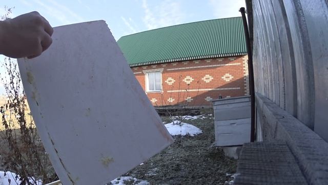 Зимовка 2017 в ППУ ульях гибель пчелосемьи