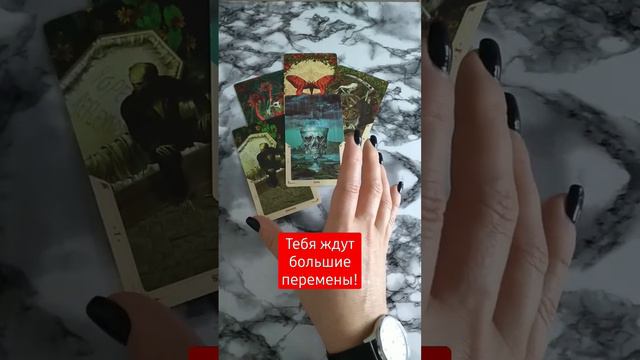 Ссылка на телеграм канал в закреплённом комментарии смотреть онлайн