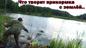 Монстры забытого рыбаками озера! Рыбалка на карася 43 серия.mp4