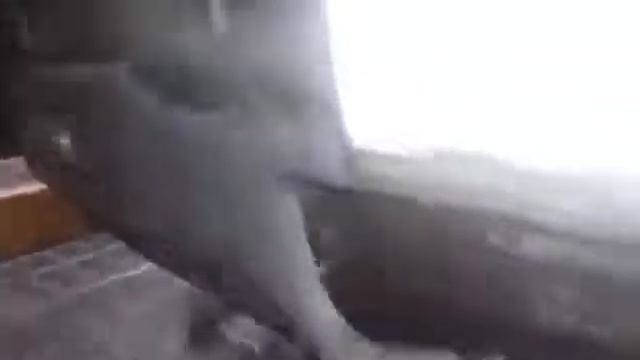 ХF-95 DAF Ночной монстр смотреть онлайн