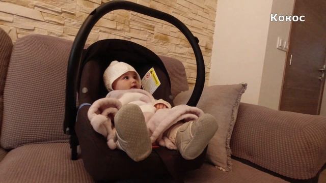 МОПС разбудил МЛАДЕНЦА. Оба рады встрече !!! смотреть онлайн