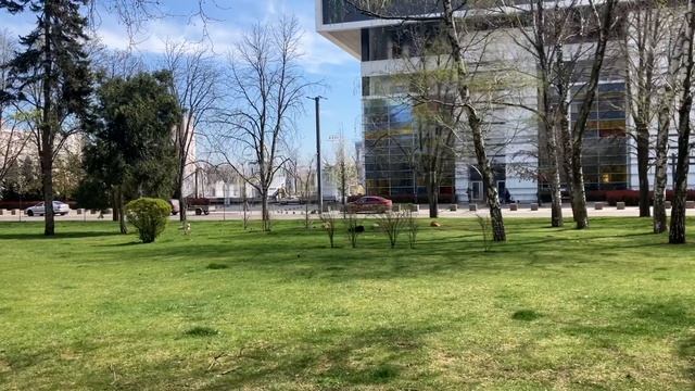 Долгострои улица Красная в Краснодаре смотреть онлайн