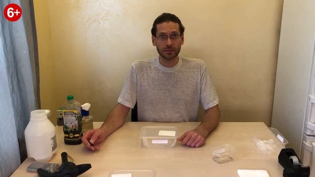 Посев семян Павловнии на салфетку. Всхожесть семян Павловнии. смотреть онлайн