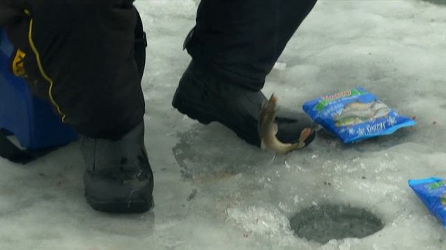 ловля карася и плотвы зимой (полная версия) смотреть онлайн