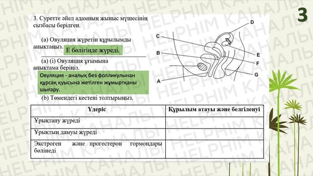 БИОЛОГИЯ 9-СЫНЫП БЖБ-1. 4-ТОҚСАН. смотреть онлайн