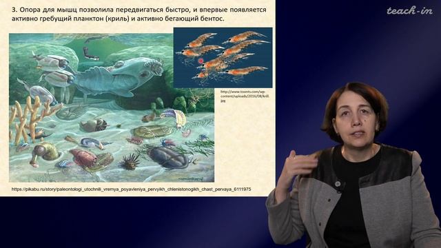Тесакова Е.М. - Геологическая история Москвы и Подмосковья - 3. Палеозойская эра смотреть онлайн