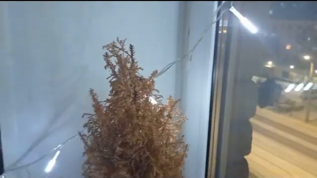 По улице моей который год! смотреть онлайн