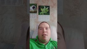 Как мне пришёл не тот товар с Озон