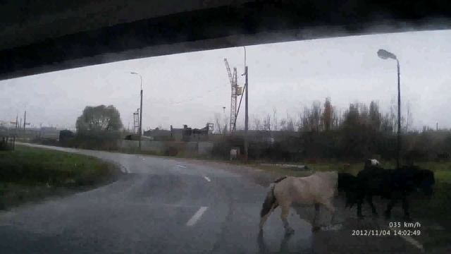 Секретный выезд на КАД / Secret route to the highway смотреть онлайн