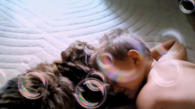 Как кошка любит мальчика смотреть онлайн