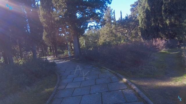 Мисхорский парк. Весна зимой. 2К. Часть 4. Крым. ЮБК. 31.01.2024г. смотреть онлайн